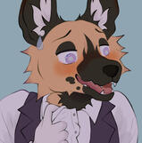 African Wild Dog Comm